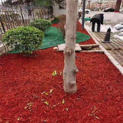 綠化工程有機覆蓋物 染色樹皮的應用與優(yōu)勢