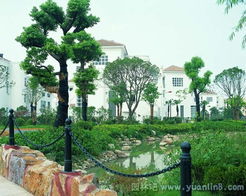 某別墅環(huán)境綠化工程實(shí)拍欣賞